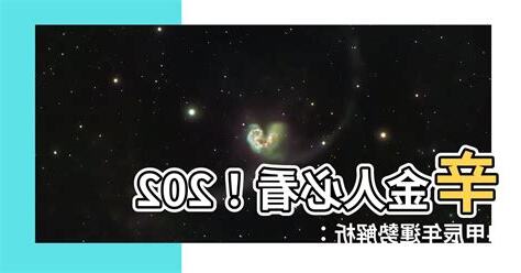 2024 辛金